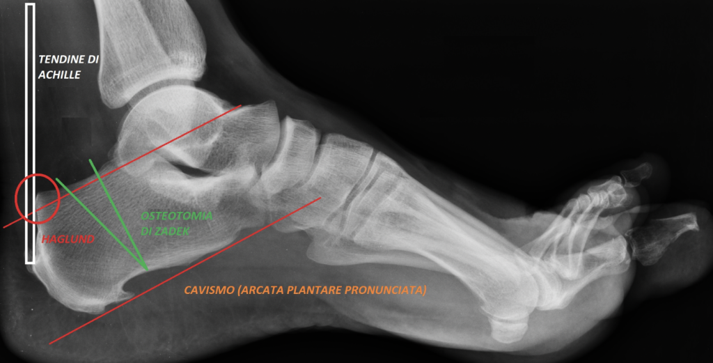 Screenshot 2026 02 26 alle 09.54.53 1